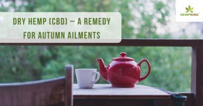 Dry hemp (CBD) – a remedy for autumn ailments