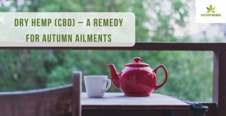 Dry hemp (CBD) – a remedy for autumn ailments