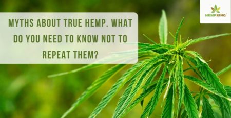 Myths about true hemp. What do you need to know not to repeat them?