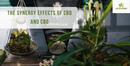 The synergy effects of CBD and CBG