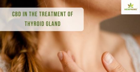 CBD in the treatment of thyroid gland