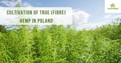 Cultivation of true (fibre) hemp in Poland