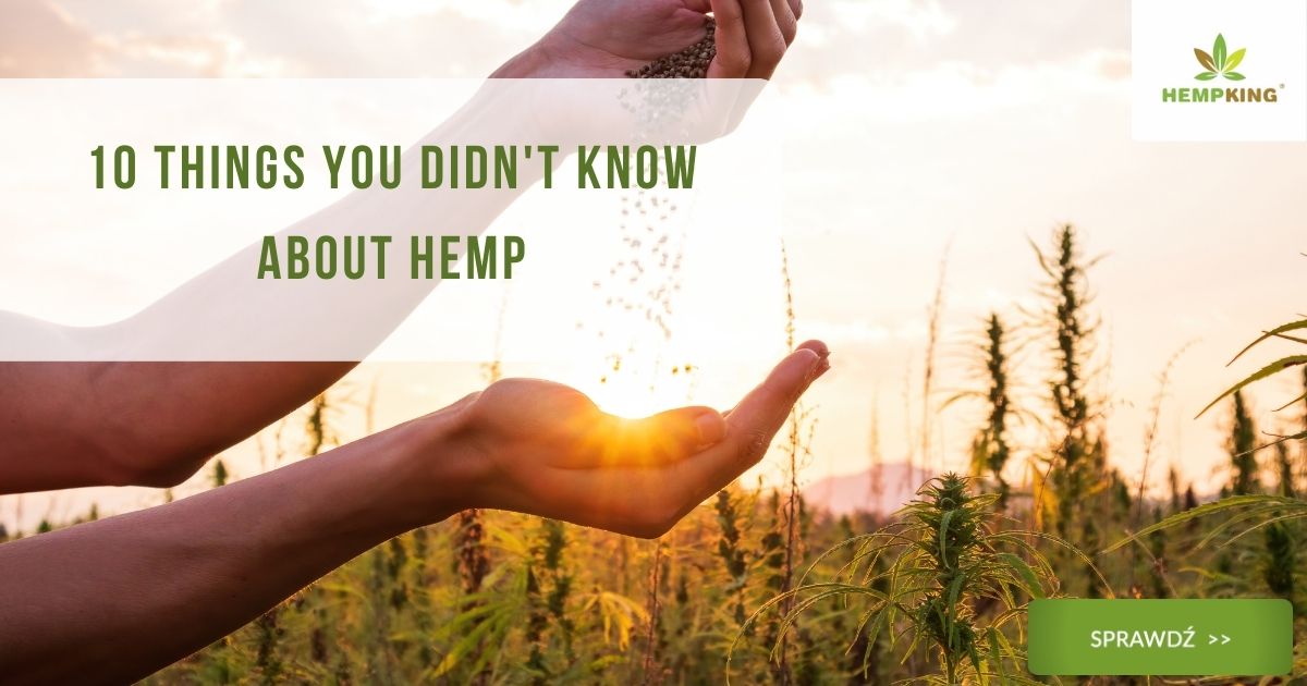 10 things you didn't know about hemp