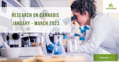 Research on Cannabis January - March 2023