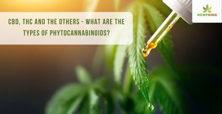 types of phytocannabinoids - CBD, THC and the others