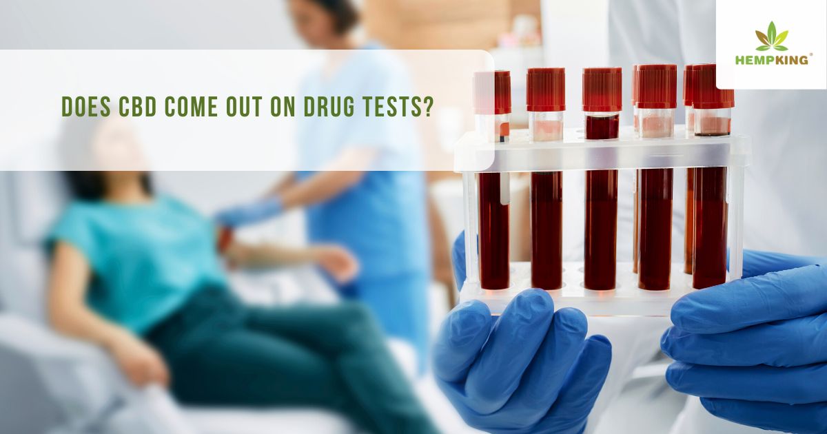 Test urinaire du Cannabis (THC) avec Pré-Dosage (NarcoCheck)