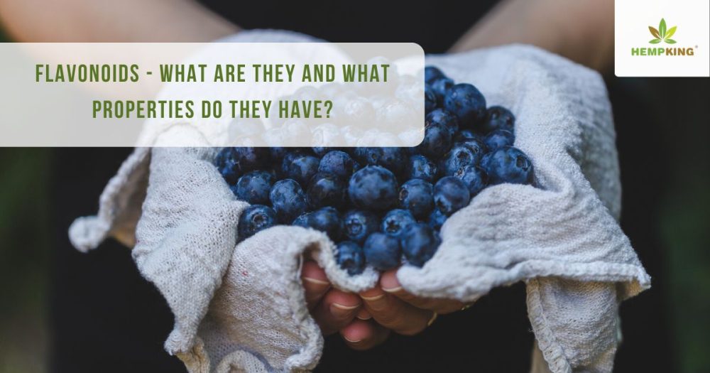 Flavonoids what are they? HempKing Blog