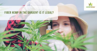Is it legal to grow Fiber hemp in the garden