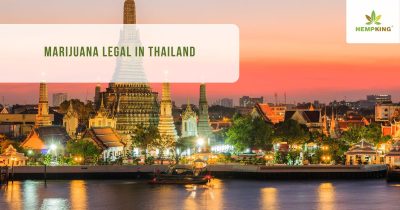 Marijuana is legal in Thailand