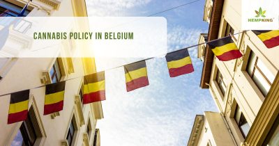 Hemp policy in Belgium