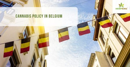 Hemp policy in Belgium