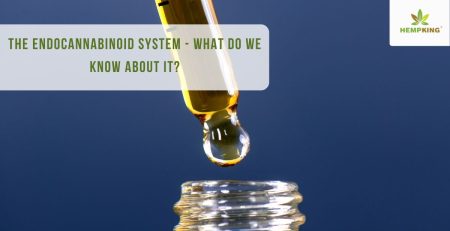 What do we know about the endocannabinoid system