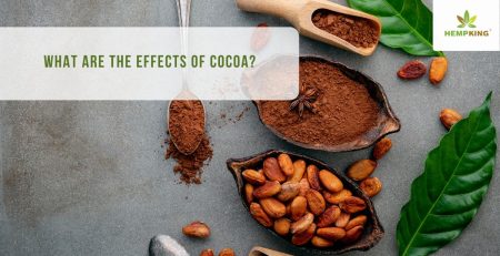 effects of cocoa