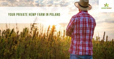 hemp farm in Poland