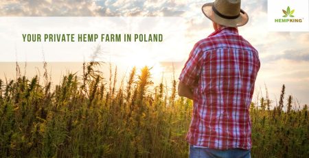 hemp farm in Poland