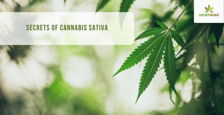 Secrets of Cannabis
