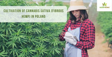 Cultivation of Cannabis Sativa in Poland