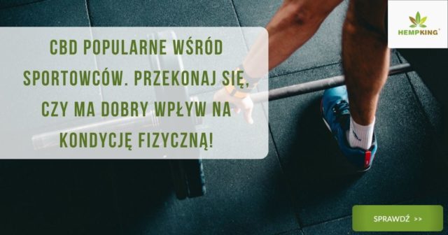 CBD i sport. CBD popularne wśród sportowców. Przekonaj się, czy ma dobry wpływ na kondycję fizyczną!