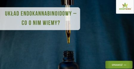 Układ endokannabinoidowy – Co o nim wiemy, Kananabinoidy