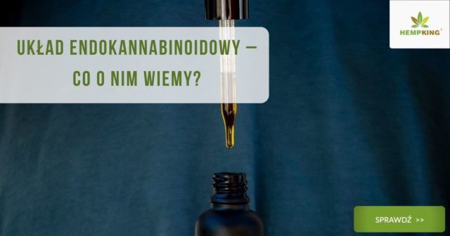 Układ endokannabinoidowy – Co o nim wiemy, Kananabinoidy