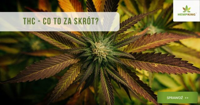 thc - co to za skrót?