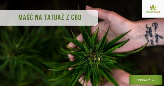 maść cbd na tatuaż