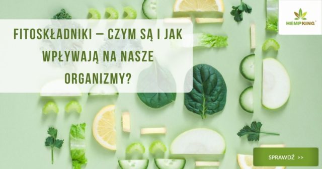 fitoskładniki - co to takiego?