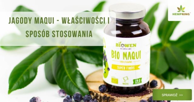 właściwości jagód maqui