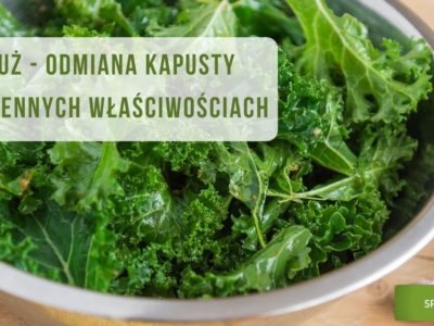 właściwości bio jarmużu