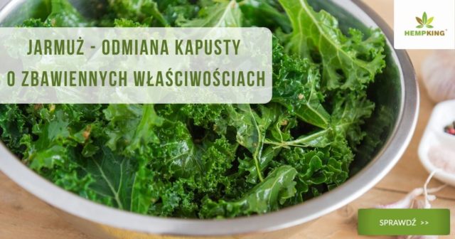 właściwości bio jarmużu