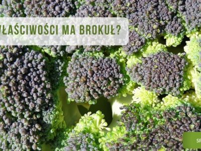 brokuł, właściwości brokuła