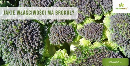 brokuł, właściwości brokuła