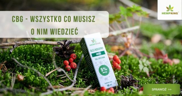 cbg 5% hempking w otoczeniu zieleni