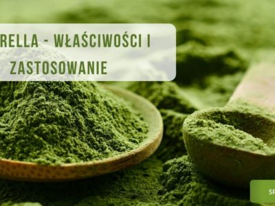 chlorella właściwości i zastosowanie obrazek wyróżniający