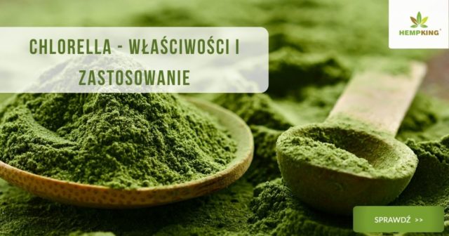 chlorella właściwości i zastosowanie obrazek wyróżniający