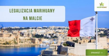 malta legalizacja marihuany