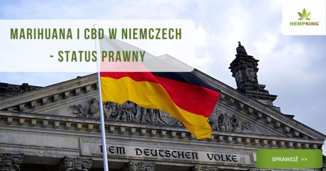 status prawny cbd i thc w niemczech - obrazek wyróżniający