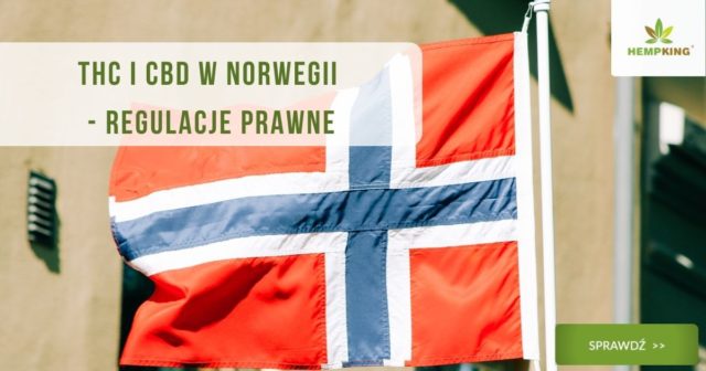 thc i cbd w norwegii prawo