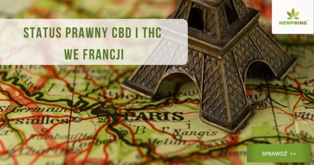 CBD i THC we Francji