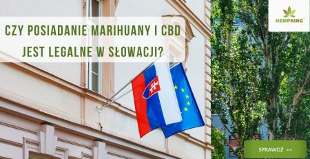 marihuana cbd słowacja