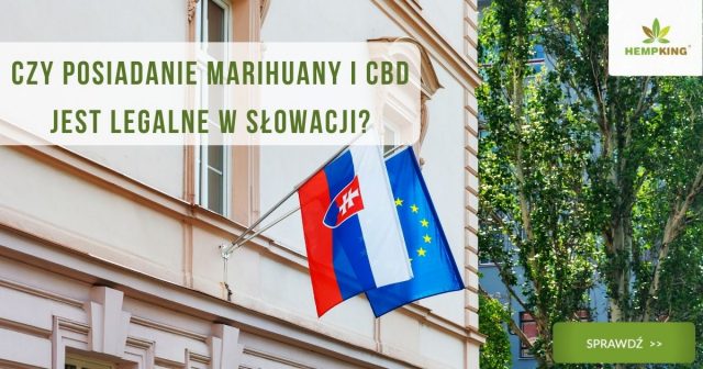 marihuana cbd słowacja