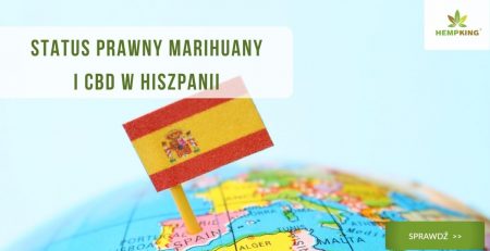 marihuana i cbd w Hiszpanii
