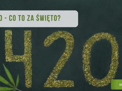 420 święto stonersów