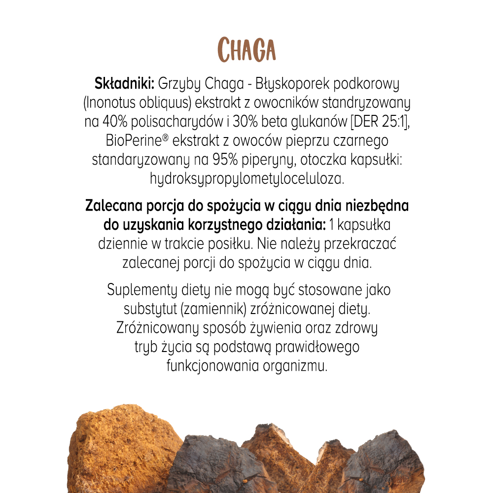 Lista składników suplementu Chaga Biowen oraz informacje o zalecanej porcji do spożycia