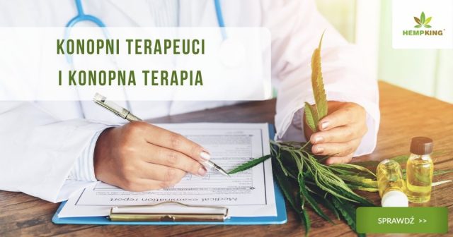 Konopni Terapeuci i konopna terapia