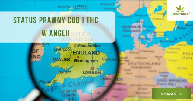 cbd i thc w anglii