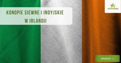 Konopie siewne i indyjskie w Irlandii (THC i CBD w Irlandii)