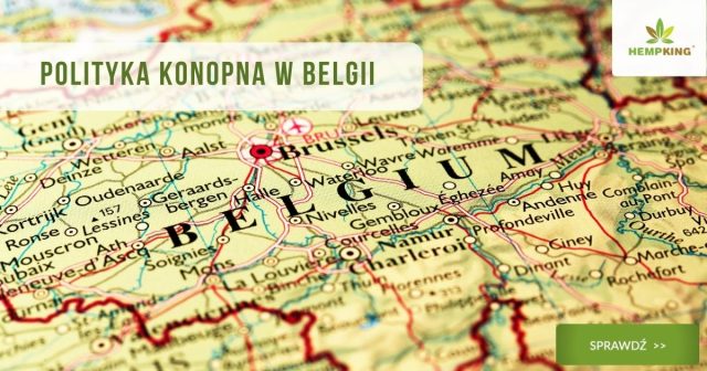 Polityka konopna w Belgii