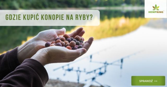 konopie na ryby