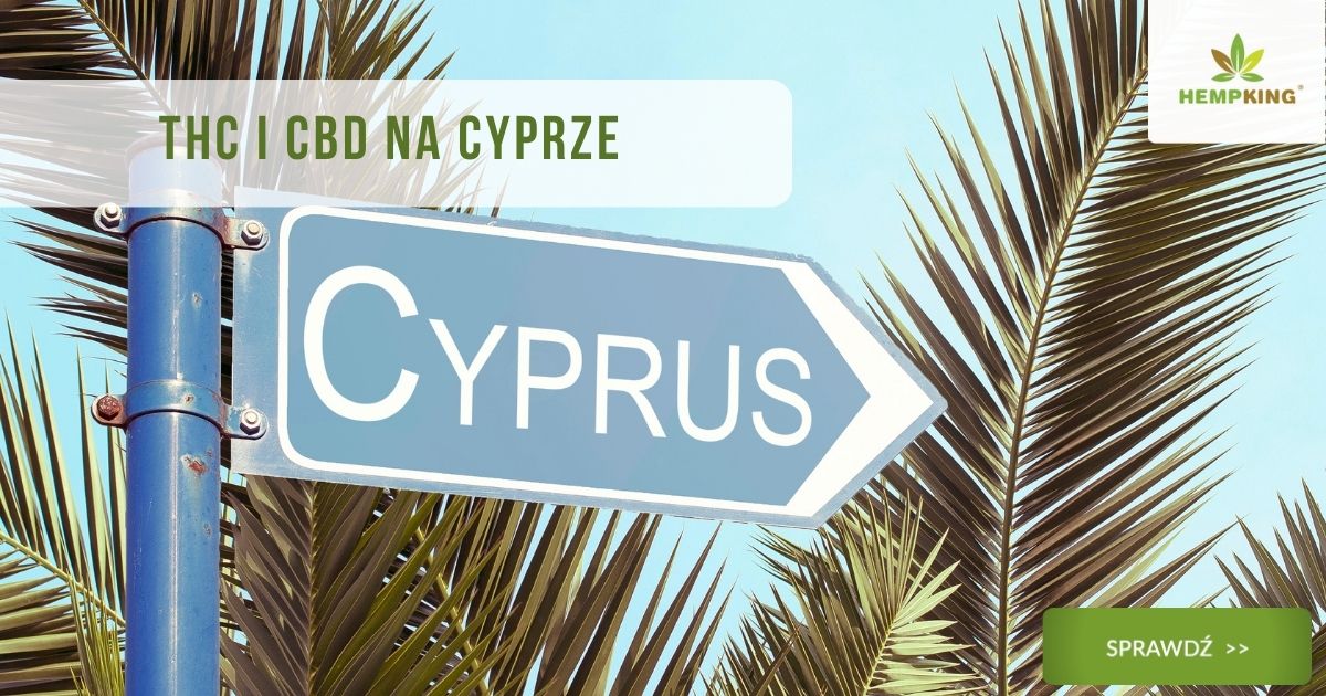 THC i CBD na Cyprze - status prawny